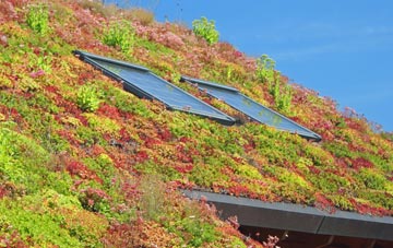 Colliers Wood living roof systems
